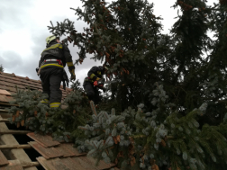 Katasztrófavédelem