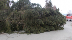 Katasztrófavédelem