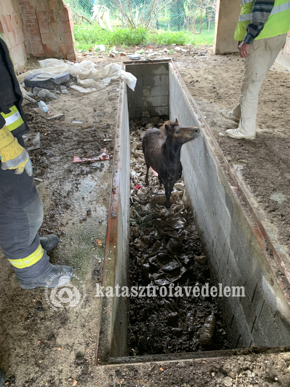 Katasztrófavédelem
