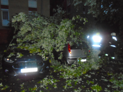 Tűzoltók távolítják el a leszakadt faágakat Pécsett