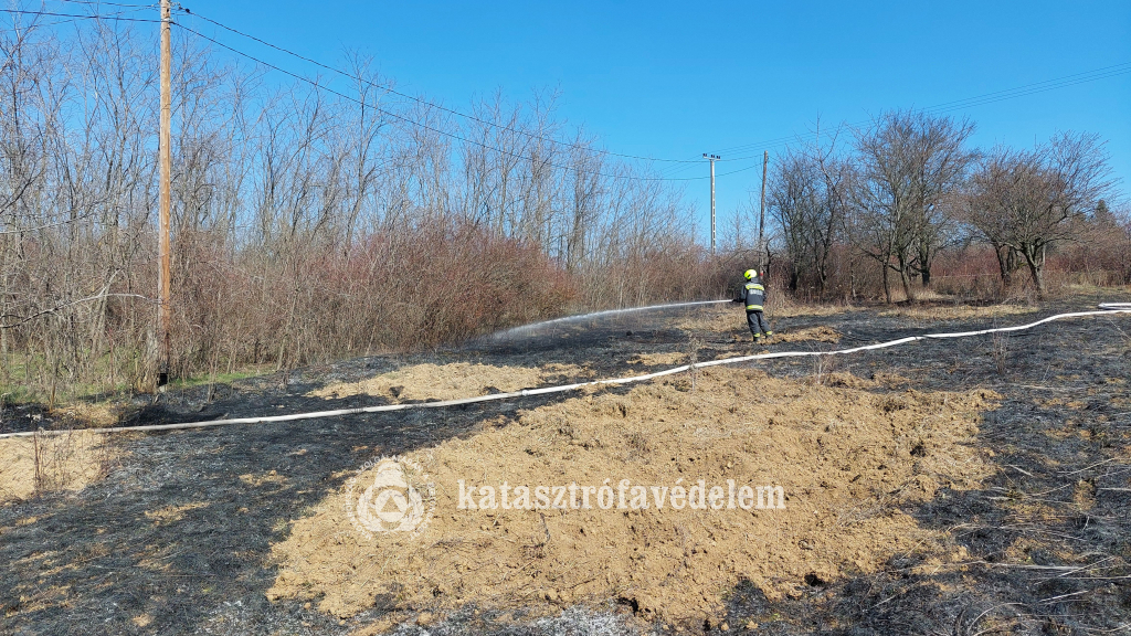 tűzoltó oltja az aljnövényzetet