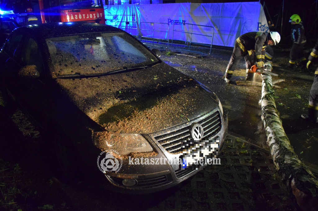 behorpadt motorháztető, kidőlt fa, tűzoltó